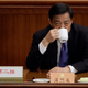 Bo Xilai at the 2012 CPPCC meeting.
